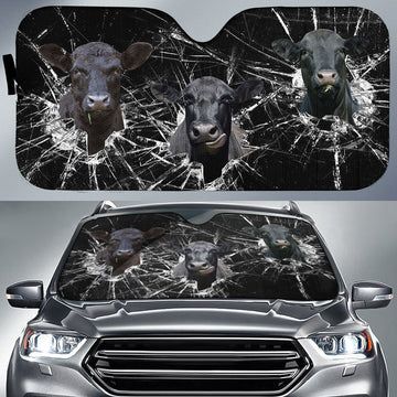 Uni Black Angus Broken Glasses 3D Sun Shade