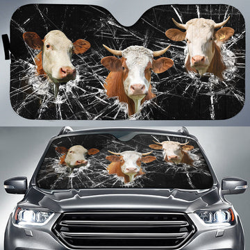 Uni Simmental Broken Glasses 3D Sun Shade