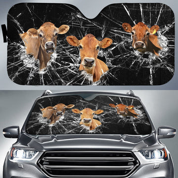 Uni Jersey Broken Glasses 3D Sun Shade