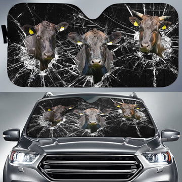Uni Wagyu Broken Glasses 3D Sun Shade