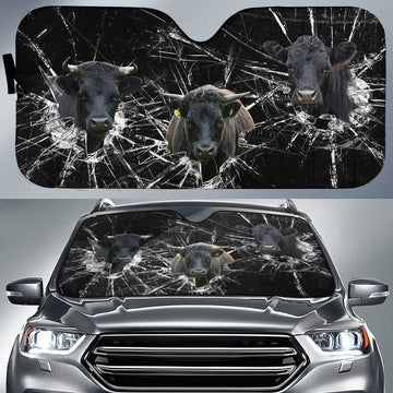 Uni Dexter Broken Glasses 3D Sun Shade