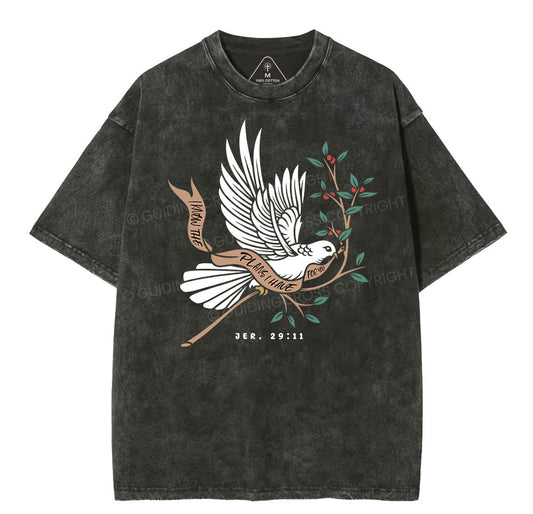 I Know The Plans I Have For You Christian Washed T-Shirt Sale - GuidingCross