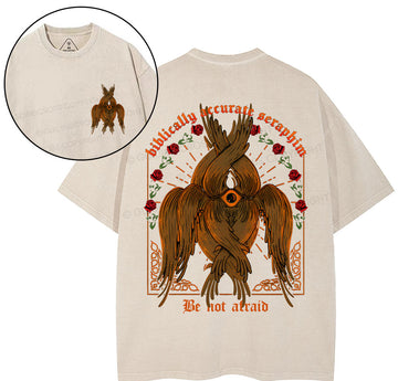 Biblically Accurate Angel Christian Washed TShirt