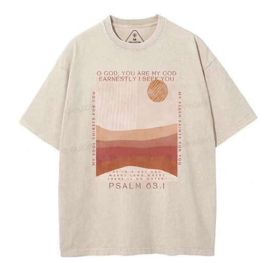 Earnestly I Seek You Christian Washed TShrit