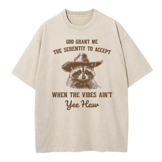 God Grant Me The Serenity To Accept Christian Washed T-Shirt Sale - GuidingCross