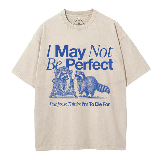 I May Not Be Perfect Christian Washed T-Shirt Sale - GuidingCross