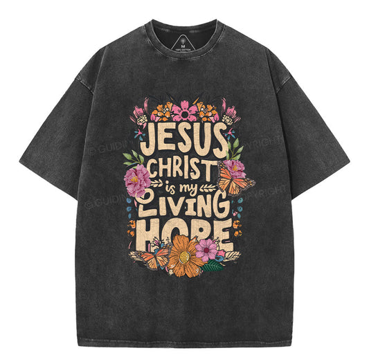 Living Hope Christian Washed TShirt