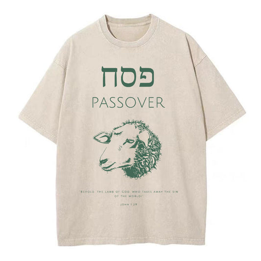 Passover Chirstian Washed TShirt