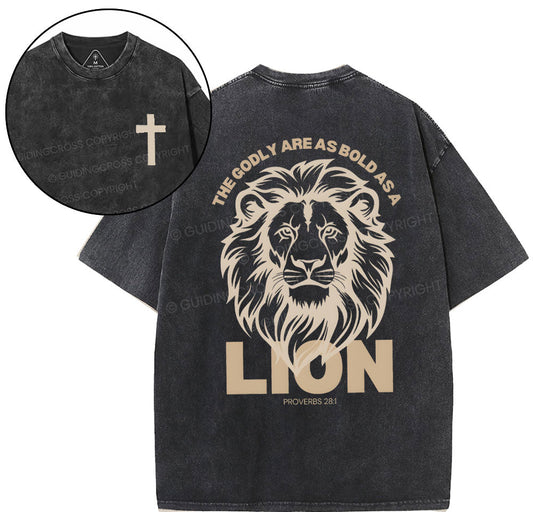 The Glory Are As Bold As A Lion Christian Washed TShirt
