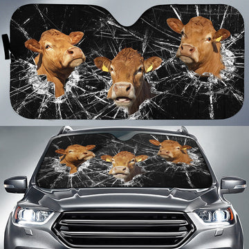 Uni Limousin Broken Glasses 3D Sun Shade