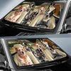 Uni AUSTRALIAN CATTLE DOG All Over Printed 3D Sun Shade