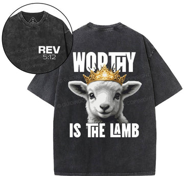 NewSample Christian Washed TShirt  