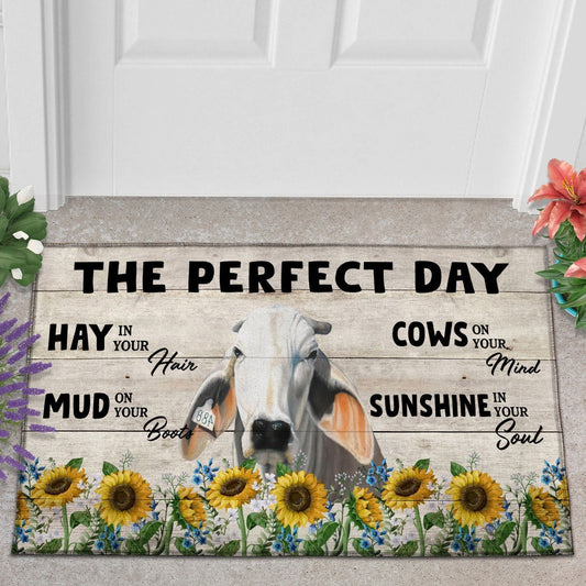 Uni Brahman The Perfect Day Doormat, Farmhouse Doormat, Welcome Mat