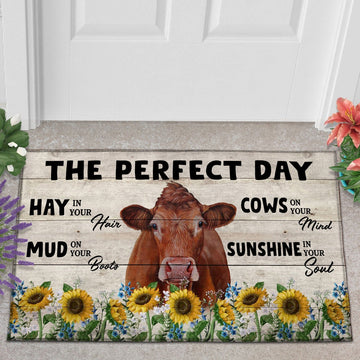 Uni Beefmaster The Perfect Day Doormat, Farmhouse Doormat, Welcome Mat