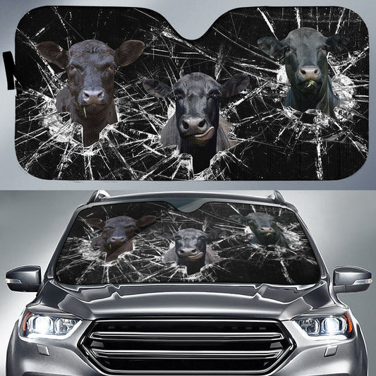 Uni Black Angus Broken Glasses 3D Sun Shade