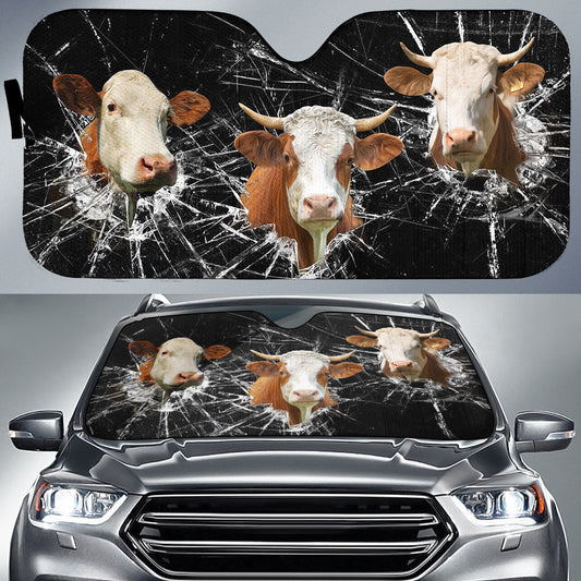Uni Simmental Broken Glasses 3D Sun Shade