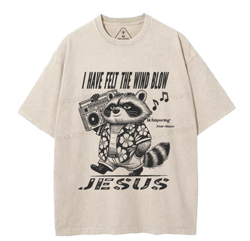 Creation Calls Christian Washed TShirt  