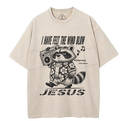 Creation Calls Christian Washed TShirt  