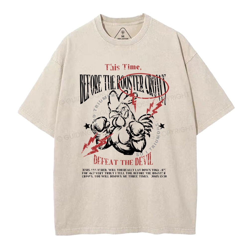 Defeat The Devil Christian Washed TShirt  