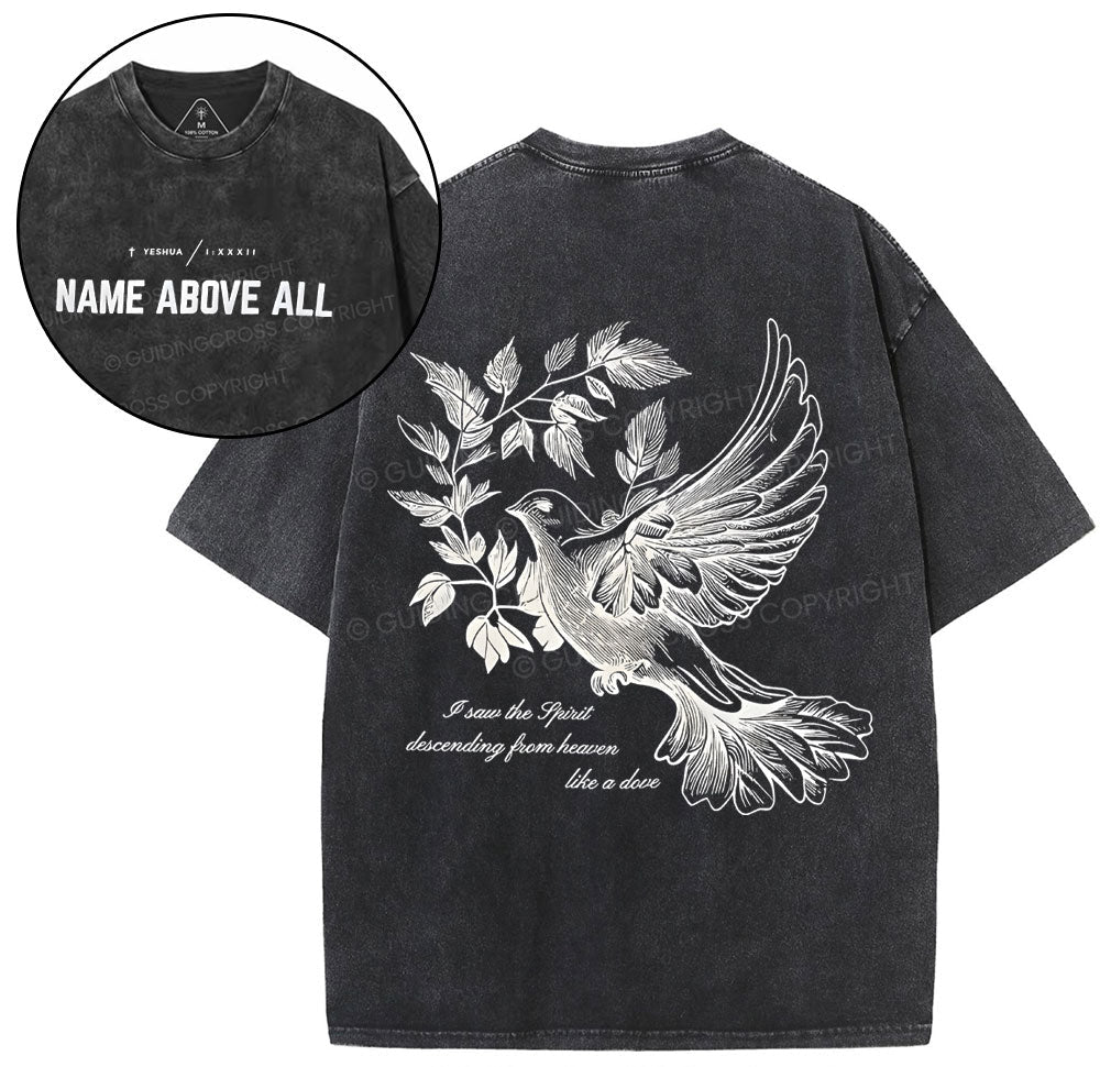 Dove Christian Washed T-Shirt Sale - GuidingCross