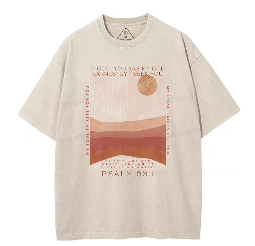 Earnestly I Seek You Christian Washed TShrit  