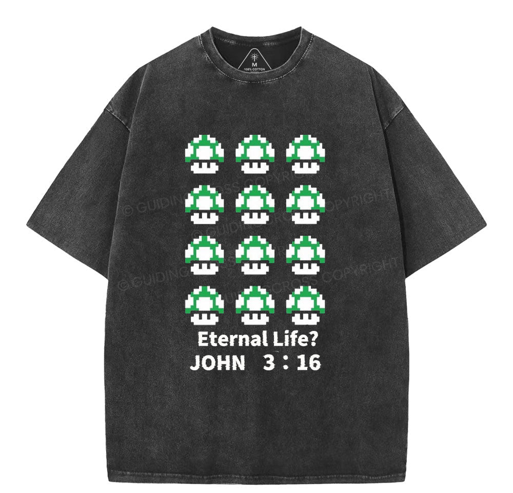 Eternal Life Christian Washed TShirt  