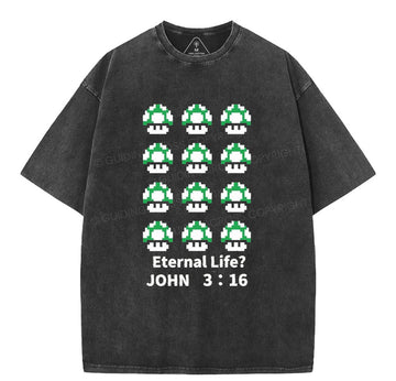 Eternal Life Christian Washed TShirt  