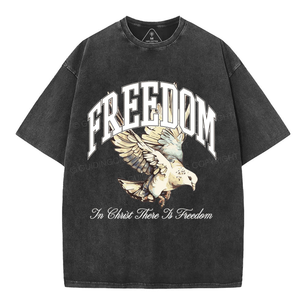 NewSample Christian Washed TShirt  