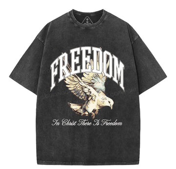 NewSample Christian Washed TShirt  