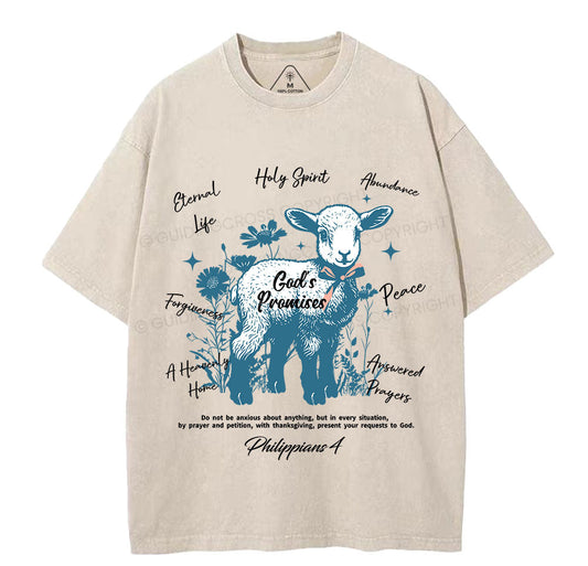 God's Promises Christian Washed TShirt