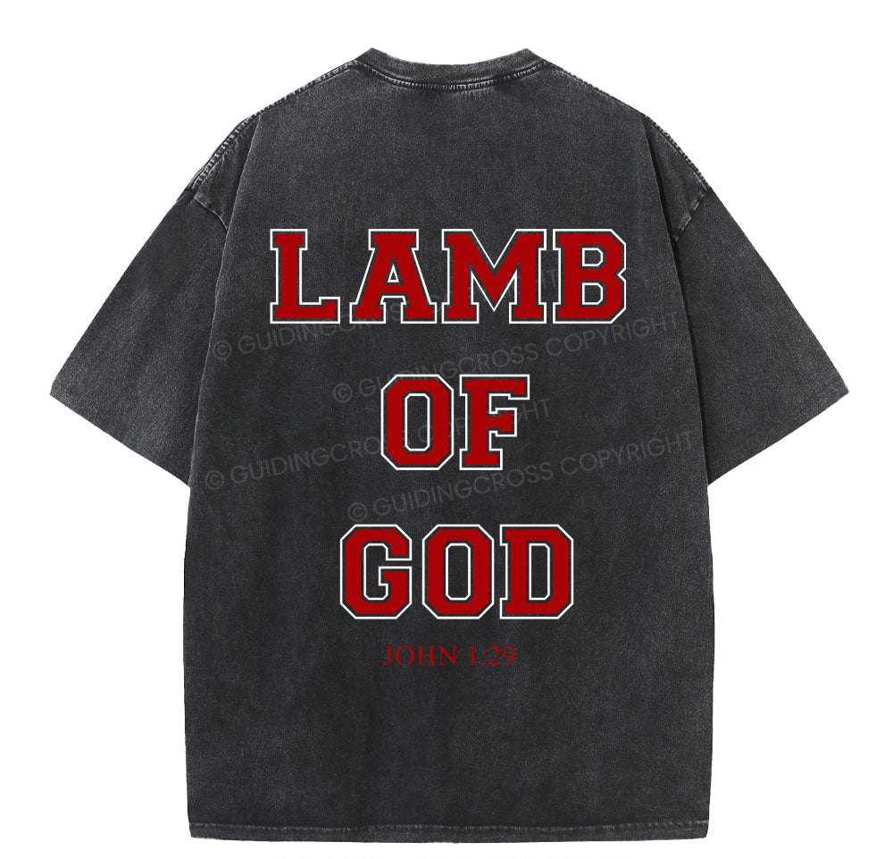 Lamb Of God Christian Washed TShirt  
