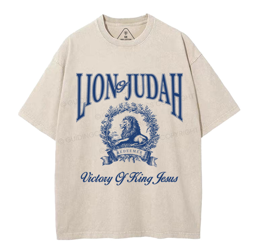 NewSample Christian Washed TShirt  