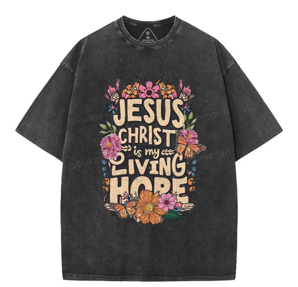 Living Hope Christian Washed TShirt  