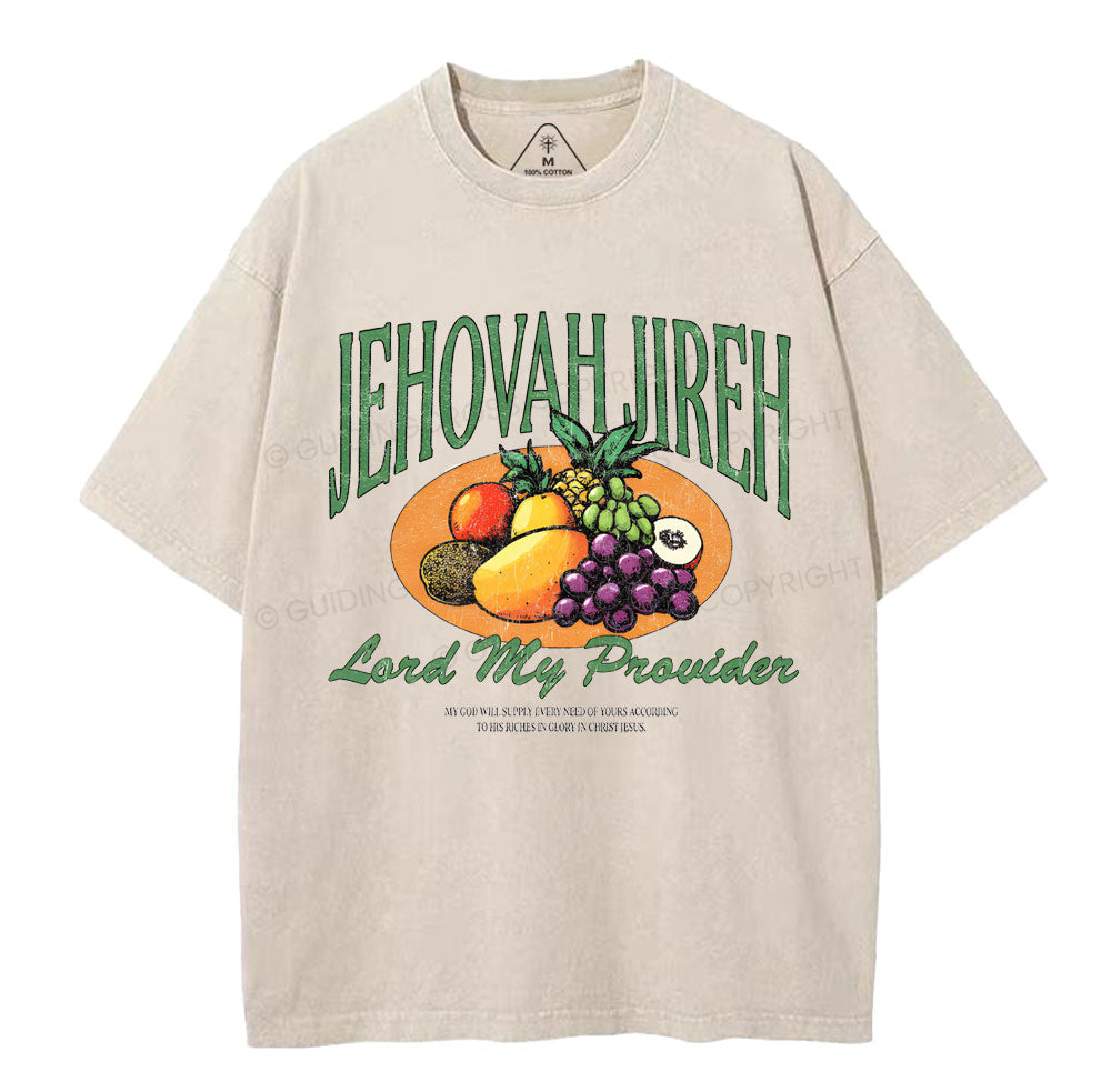 Lord My Provider Christian Washed TShirt  
