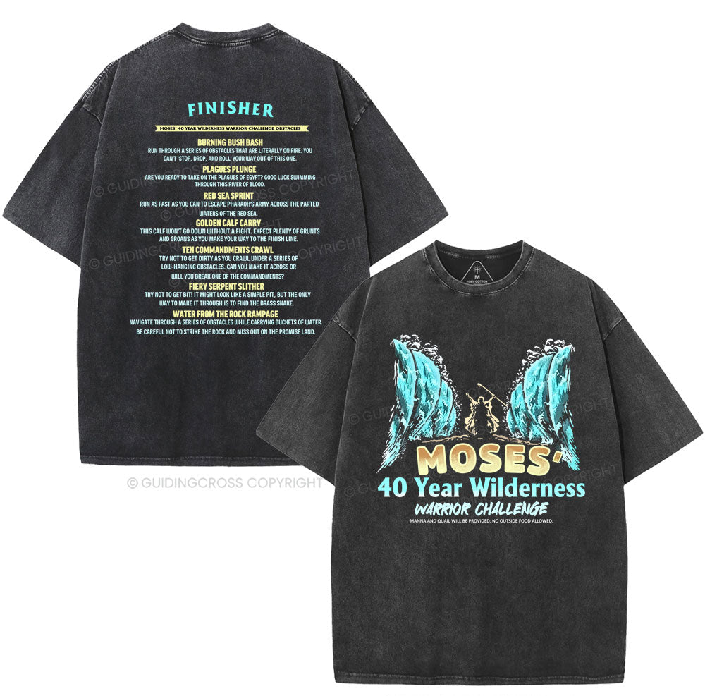 NewSample Christian Washed TShirt  