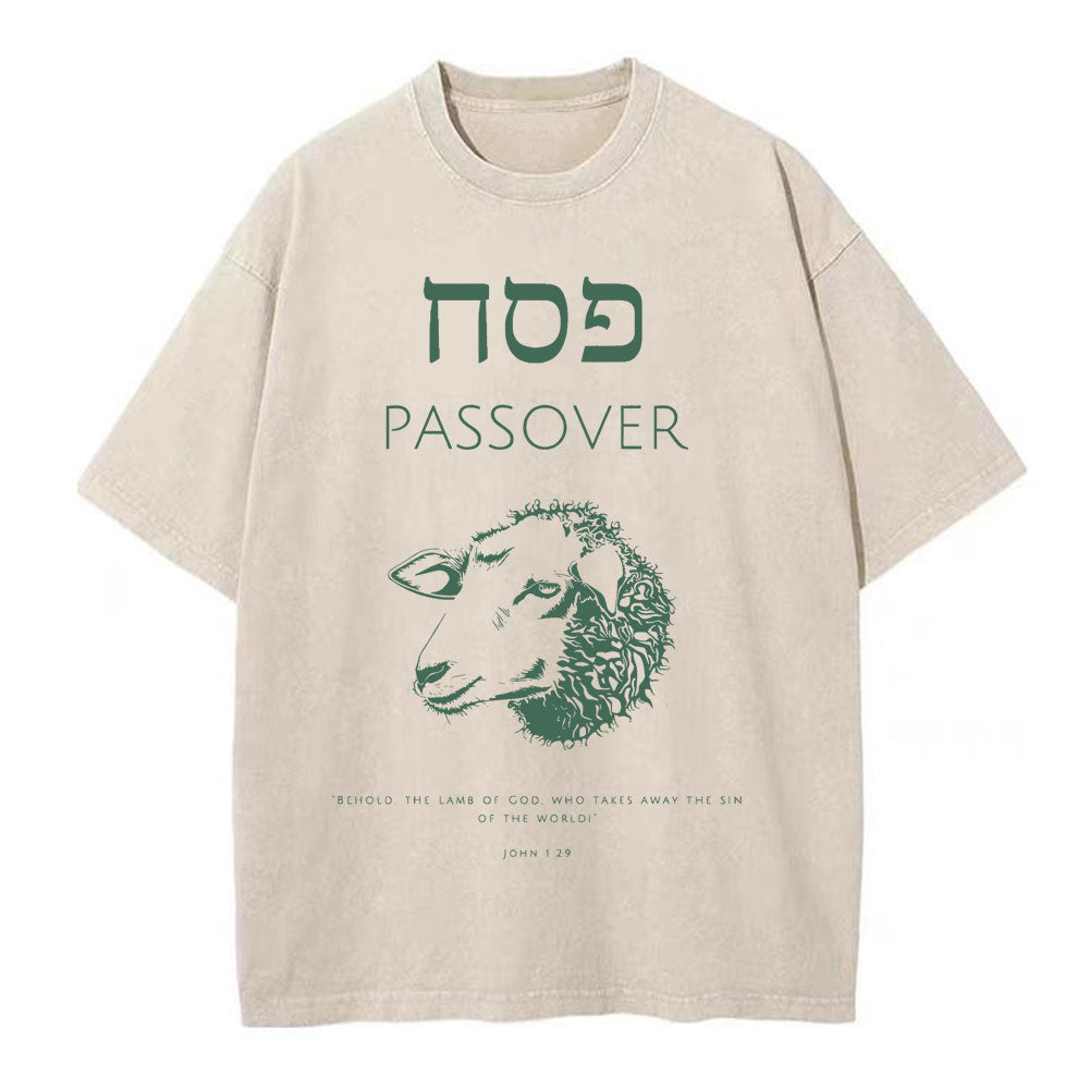 Passover Chirstian Washed TShirt  