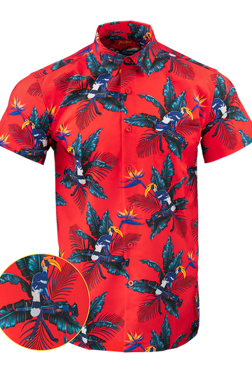 UniJames Comfort Perched Button Shirt For Men