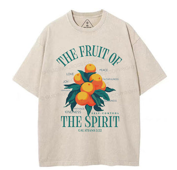 The Fruit Of Spirit Christian Wahsed T-Shirt Sale - GuidingCross