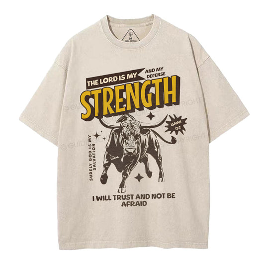 The Lord Is My Strength Chrsitian Washe d T-Shirt Sale - GuidingCross
