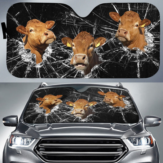Uni Limousin Broken Glasses 3D Sun Shade