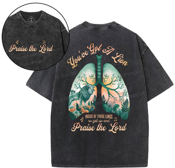 You've Got A Lion Christian Washed TShirt  