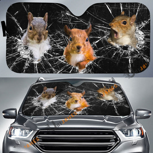 Uni Squirrels Broken Glasses 3D Sun Shade